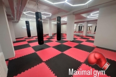 Maximal Gym